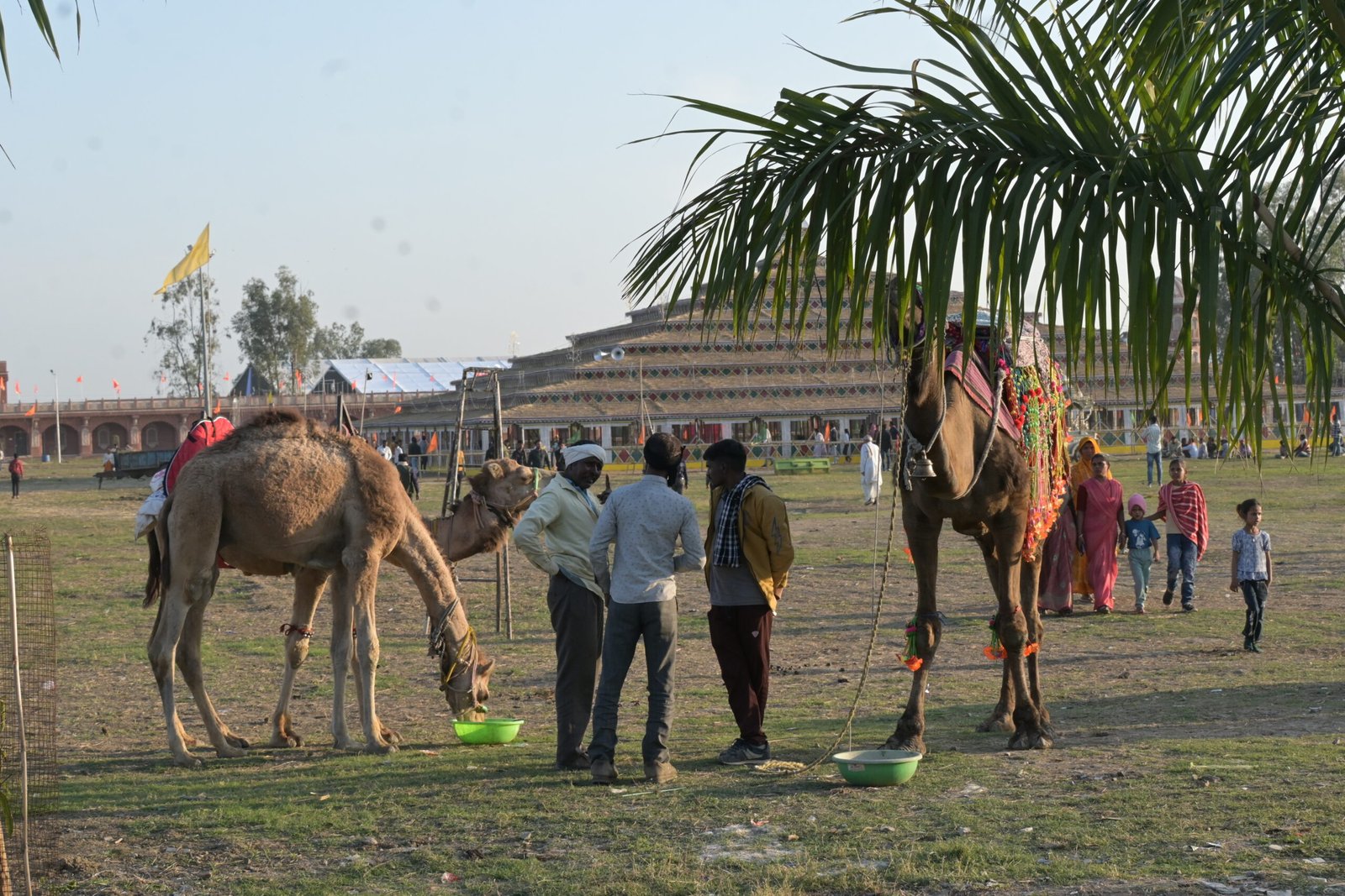 Navgraha Mandir Dabra