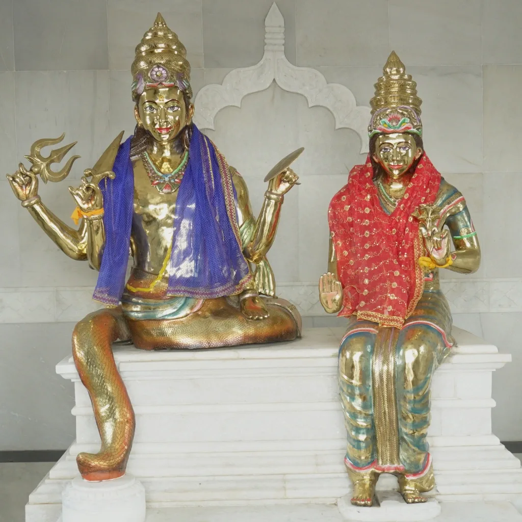 rahu navgraha