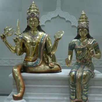 rahu dev chadava